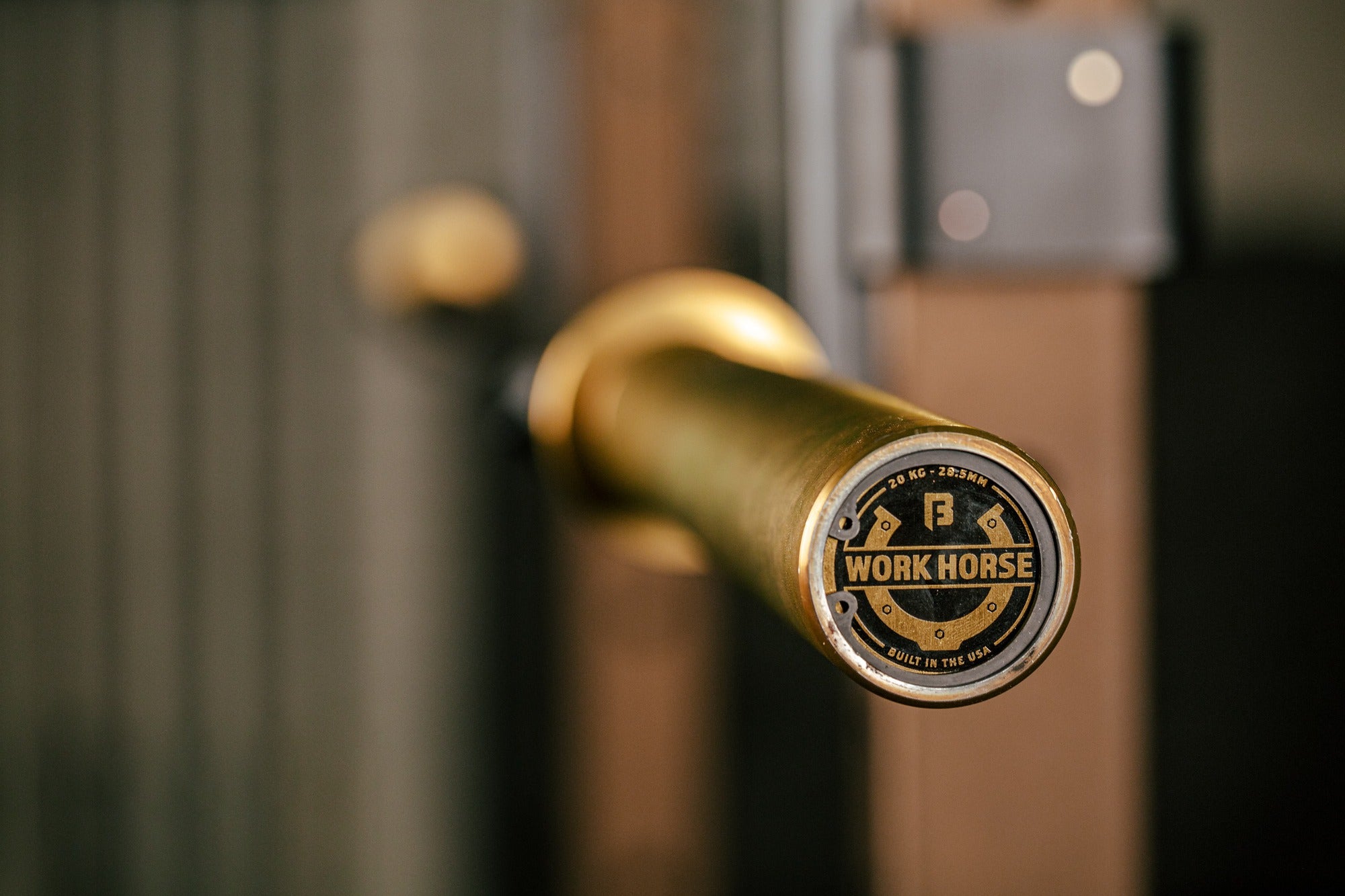 20kg workhorse barbell endcap