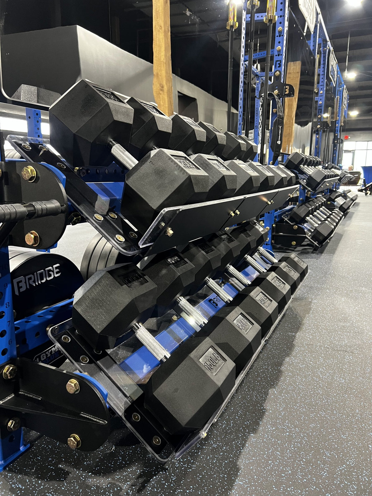 Bridge BUILT equipment at Gym Blue