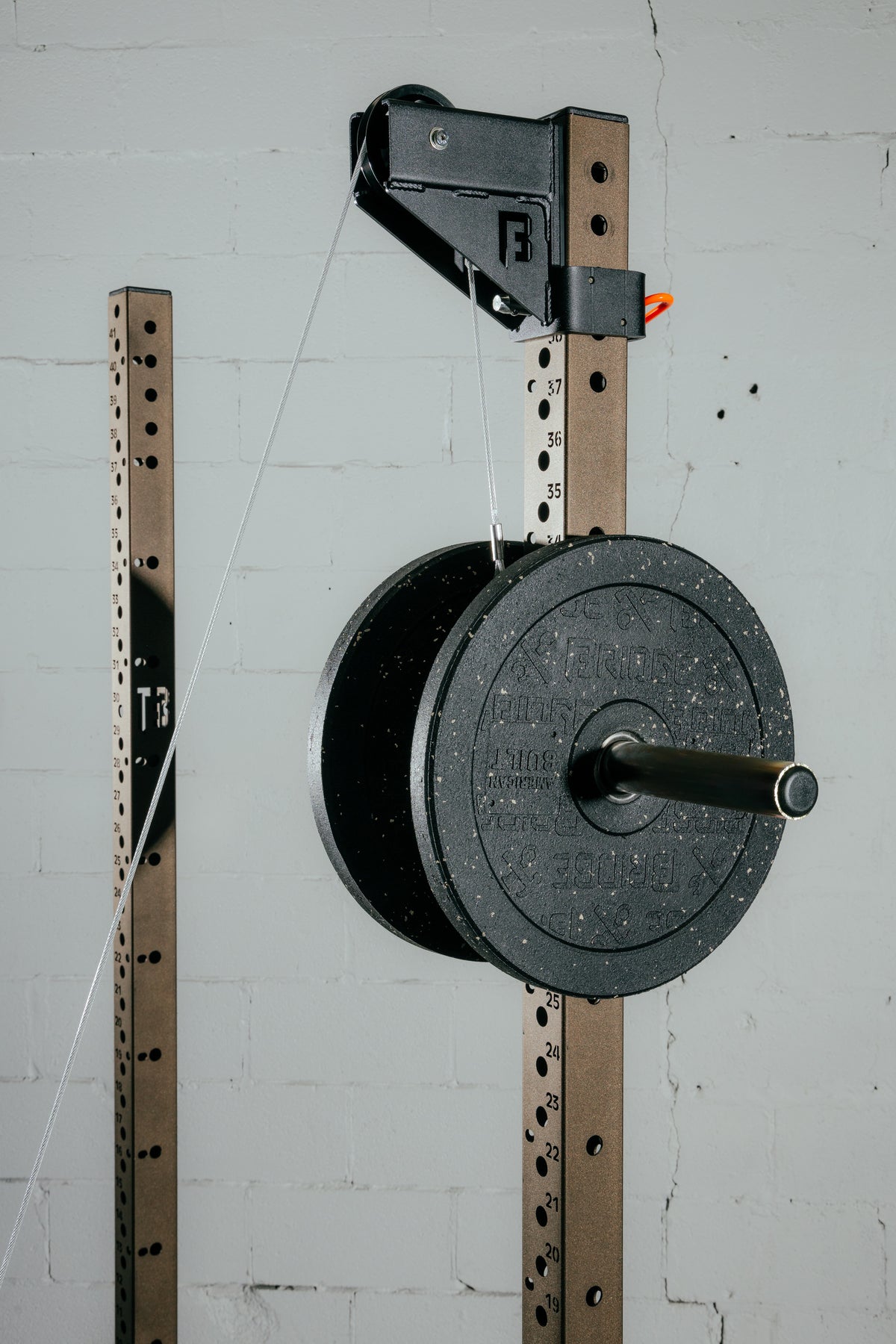 Plate Coaster